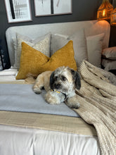 Cargar imagen en el visor de la galería, Cojín Mustard L