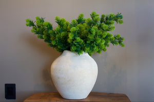 Planta [041]