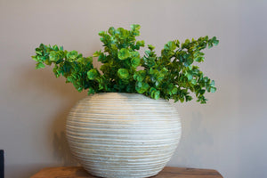 Planta [044]