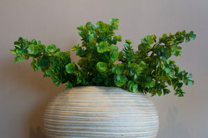 Planta [044]