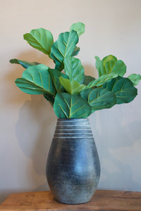Planta Pandurata [042]