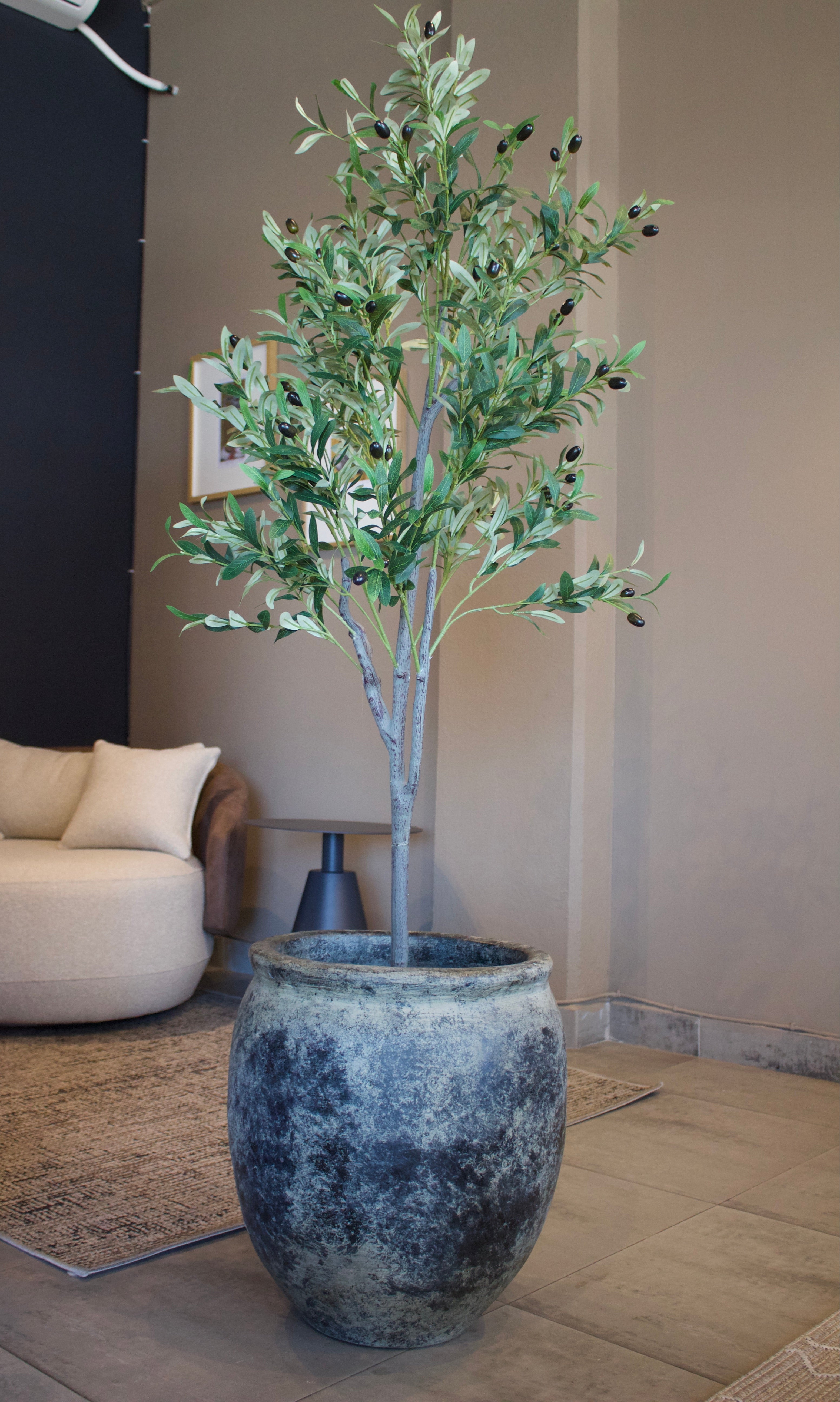 Árbol de Olivo [061]