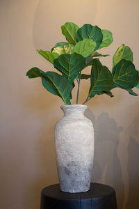 Planta Pandurata [042]