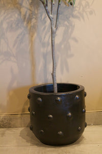 Maceta [082]