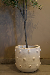 Maceta [083]